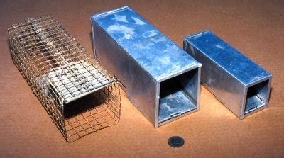 metal box traps|where to buy live traps.